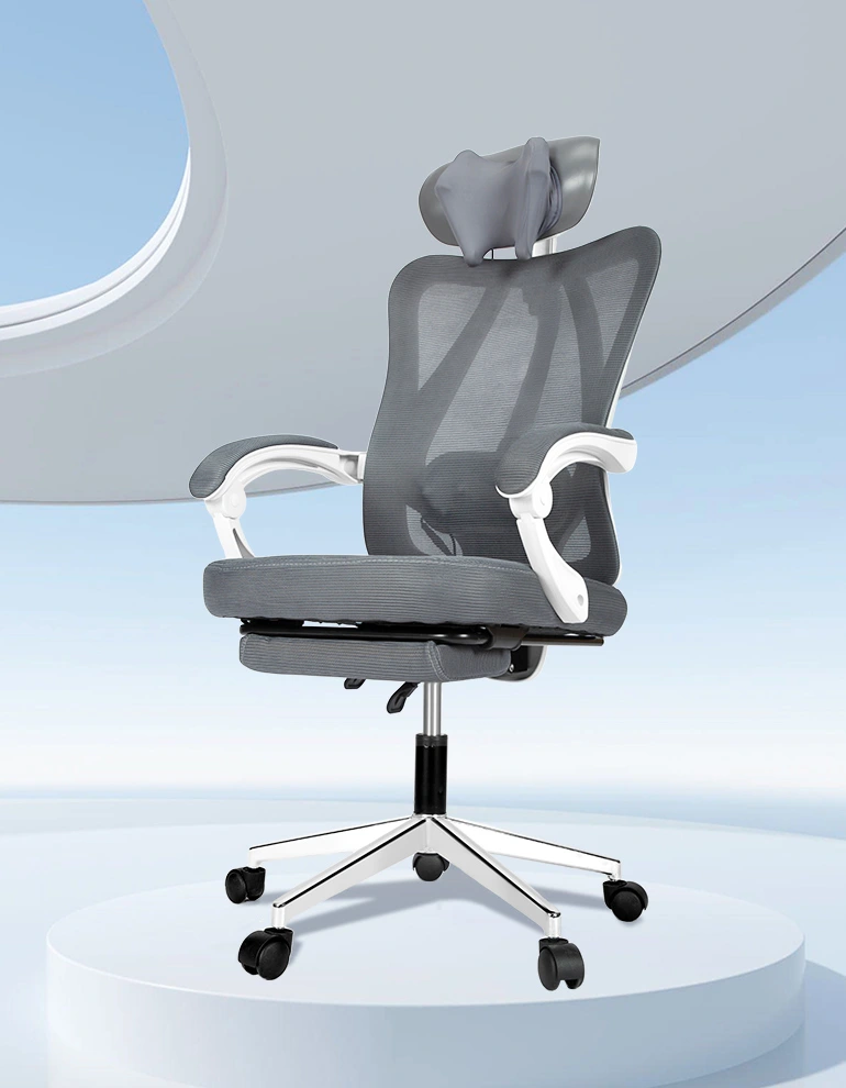 Ergonomic Chair